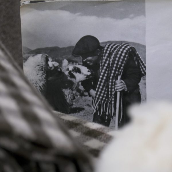 Manta de pastor <span class="notranslate"> (Tapaboques)</span> - Imatge 8